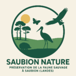 Logo Saubion Nature